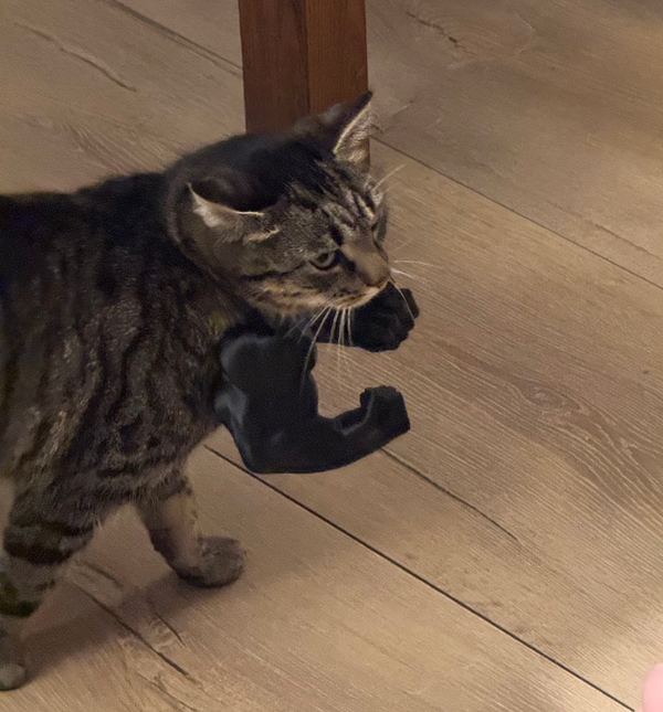 3D printing is amazing